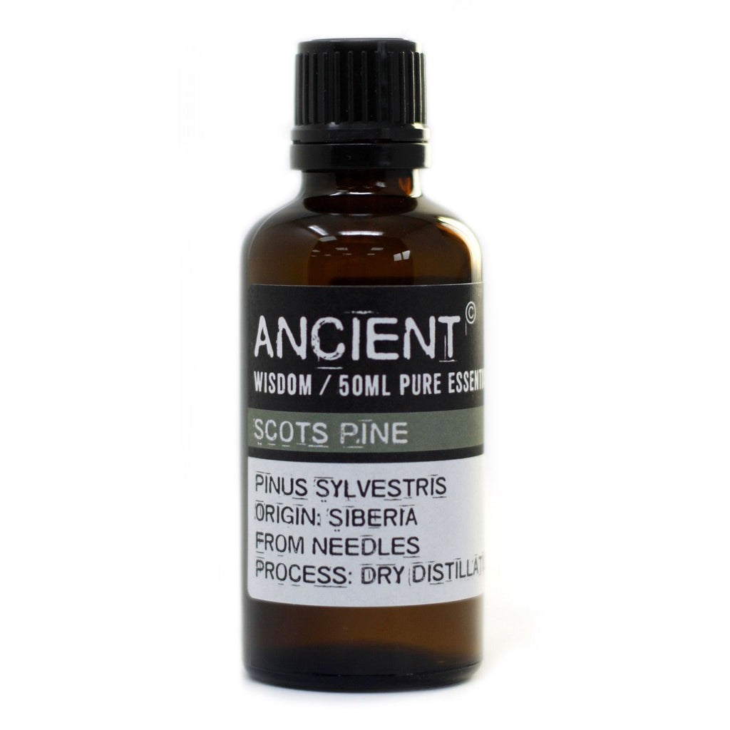 Kiefer Sylvestris (Waldkiefer) Ätherisches Öl 50ml