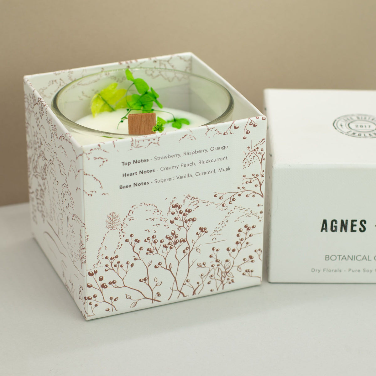 Agnes + Cat botanická sviečka zo sójového vosku – Fellberry