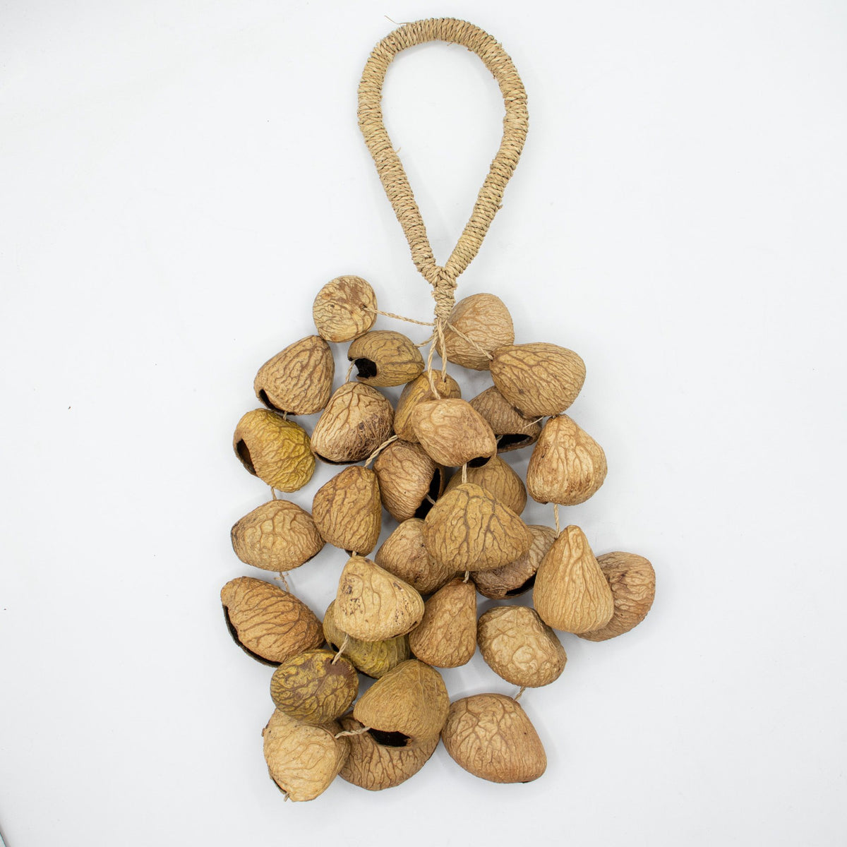 Mittlerer Shaker aus Pangi-Samenschalen - Natur-Nussschalen (30 Schalen)