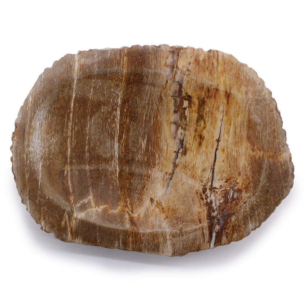Seifenschale Versteinertes Holz Braun