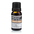 Jasmin Absolue ätherisches Öl 10 ml